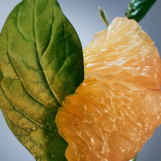 HUGO BOSS  BOSS BOTTLED  EDP  200ML